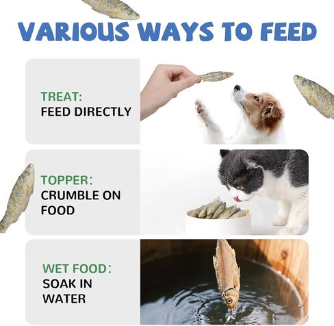PAWUP Freeze Dried Minnows Dogs Treats – 100% Raw Single-Ingredient Pet Fish Snacks – Rich in Omega-3, Grain-Free – Healthy Training Rewards & Meal Toppers, 2.8 oz in Saudi Arabia