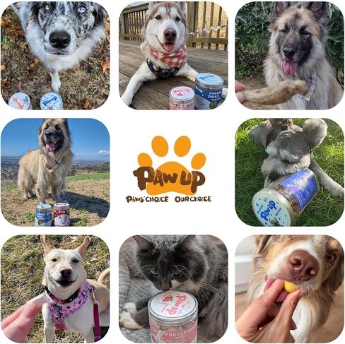 PAWUP Freeze Dried Minnows Dogs Treats – 100% Raw Single-Ingredient Pet Fish Snacks – Rich in Omega-3, Grain-Free – Healthy Training Rewards & Meal Toppers, 2.8 oz in Saudi Arabia