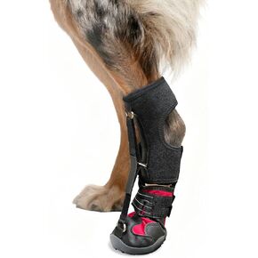 Dog Strap-On Drop Foot Orthotics (Knuckleless Boot Orthotics) – Dog Knee Pads,Corrective Dog Shoes That Safely Lift Toes, Relieve Foot Problems, Arthritis, and Improve Your Dog's gait (M) in Saudi Arabia