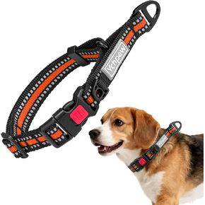 Martingale Collar for Dogs Reflective Collar with Quick Release Buckle, Adjustable Nylon Collars for No Slip Dog Collar, Blue, M in Saudi Arabia