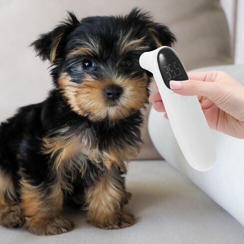 Digital Pet Thermometer Non- for Dogs Cats Accurate Temperature Reading in Saudi Arabia
