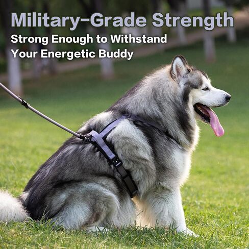 PawsPassion Dog Harness for Medium Dogs, No Pull Dog Harness Easy Walk with Metal Hardware, Ergonomic Y-Shaped Design, Soft Padding, Padded Handle, Durable High-Tensile Nylon (Horizon, M) in Saudi Arabia