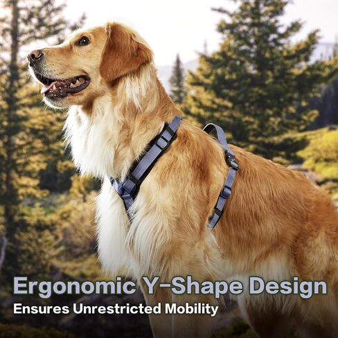 PawsPassion Dog Harness for Medium Dogs, No Pull Dog Harness Easy Walk with Metal Hardware, Ergonomic Y-Shaped Design, Soft Padding, Padded Handle, Durable High-Tensile Nylon (Horizon, M) in Saudi Arabia