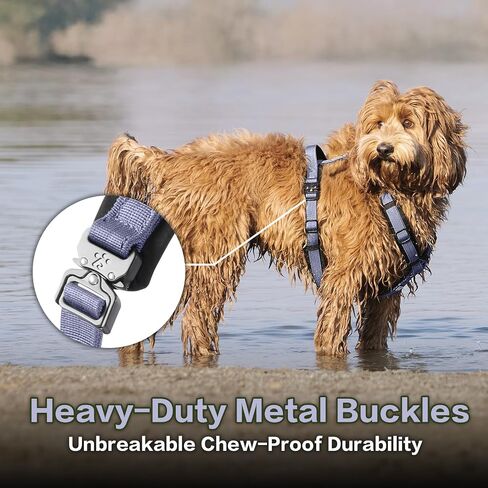 PawsPassion Dog Harness for Medium Dogs, No Pull Dog Harness Easy Walk with Metal Hardware, Ergonomic Y-Shaped Design, Soft Padding, Padded Handle, Durable High-Tensile Nylon (Horizon, M) in Saudi Arabia