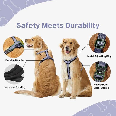 PawsPassion Dog Harness for Medium Dogs, No Pull Dog Harness Easy Walk with Metal Hardware, Ergonomic Y-Shaped Design, Soft Padding, Padded Handle, Durable High-Tensile Nylon (Horizon, M) in Saudi Arabia