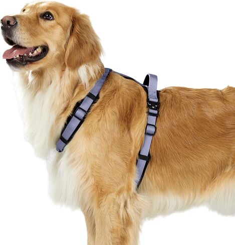 PawsPassion Dog Harness for Medium Dogs, No Pull Dog Harness Easy Walk with Metal Hardware, Ergonomic Y-Shaped Design, Soft Padding, Padded Handle, Durable High-Tensile Nylon (Horizon, M) in Saudi Arabia
