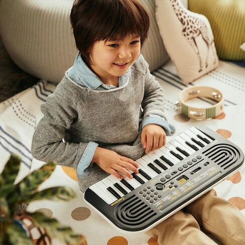 مجموعة لوحة مفاتيح صغيرة من Casio SA-81 مكونة من 44 مفتاحًا مع مصدر طاقة وملصقات مفاتيح وكتاب تعليمي وأقراص DVD التعليمية لأوستن بازار وقطعة قماش تلميع in Saudi Arabia