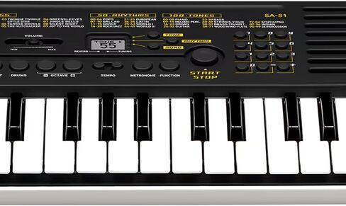 مجموعة لوحة مفاتيح صغيرة من Casio SA-81 مكونة من 44 مفتاحًا مع مصدر طاقة وملصقات مفاتيح وكتاب تعليمي وأقراص DVD التعليمية لأوستن بازار وقطعة قماش تلميع in Saudi Arabia