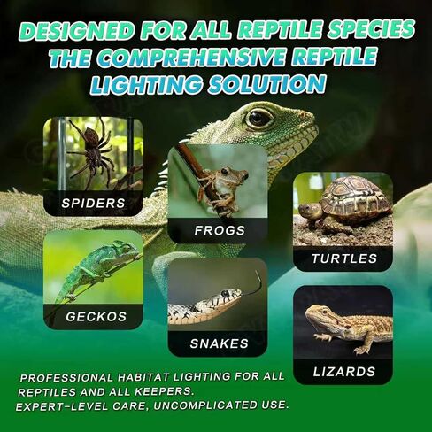Reptile Light Fixture with Dimming Thermostat, Deep Dome Lamp Fixture with Temperature Controller for Reptile Heat Lamp Bulb, Max 160W. in Saudi Arabia