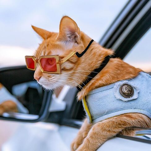 5 قطع نظارات شمسية كلاسيكية للكلاب والقطط، نظارات للحيوانات الأليفة للحماية من الأشعة فوق البنفسجية، نظارات عصرية لطيفة على شكل هيب هوب للحيوانات الأليفة من أجل الأزياء التنكرية والصور الدعائم لرحلة الطريق وعيد الميلاد in Kuwait