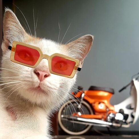 5 قطع نظارات شمسية كلاسيكية للكلاب والقطط، نظارات للحيوانات الأليفة للحماية من الأشعة فوق البنفسجية، نظارات عصرية لطيفة على شكل هيب هوب للحيوانات الأليفة من أجل الأزياء التنكرية والصور الدعائم لرحلة الطريق وعيد الميلاد in Kuwait