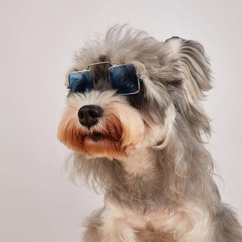 5 قطع نظارات شمسية كلاسيكية للكلاب والقطط، نظارات للحيوانات الأليفة للحماية من الأشعة فوق البنفسجية، نظارات عصرية لطيفة على شكل هيب هوب للحيوانات الأليفة من أجل الأزياء التنكرية والصور الدعائم لرحلة الطريق وعيد الميلاد in Kuwait