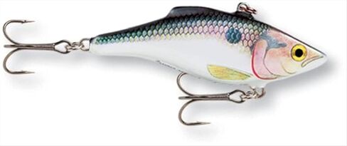 Rapala Rattlin 07 Fishing lure (Bluegill, Size- 2.75) in Kuwait