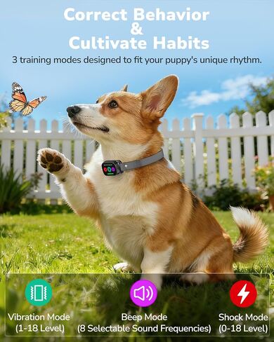 Dog Shock Collar with Remote Control, 3300FT Dog Training Collar with Beep/Vibration/Shock, Security Lock, IPX8 Waterproof Ecollar Rechargeable for Small Medium Large Dogs in Saudi Arabia