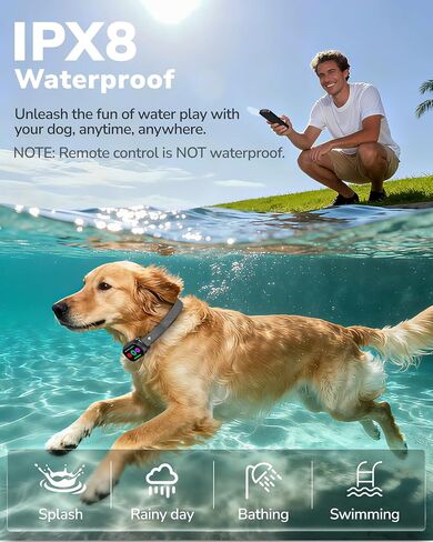 Dog Shock Collar with Remote Control, 3300FT Dog Training Collar with Beep/Vibration/Shock, Security Lock, IPX8 Waterproof Ecollar Rechargeable for Small Medium Large Dogs in Saudi Arabia