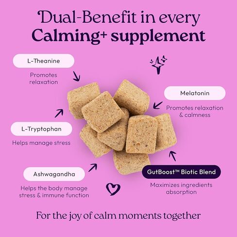 ويل جوي مكمل غذائي للقطط مناعي + GutBoost | الملحق الصحي للقطط | يعزز الاستجابة المناعية | تركيبة GutBoost ثنائية الفائدة | تركيبة بيطرية | صنع في الولايات المتحدة الأمريكية | نكهة الدجاج | 90 مضغة ناعمة in Kuwait