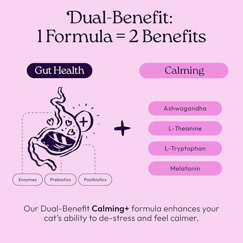 ويل جوي مكمل غذائي للقطط مناعي + GutBoost | الملحق الصحي للقطط | يعزز الاستجابة المناعية | تركيبة GutBoost ثنائية الفائدة | تركيبة بيطرية | صنع في الولايات المتحدة الأمريكية | نكهة الدجاج | 90 مضغة ناعمة in Kuwait