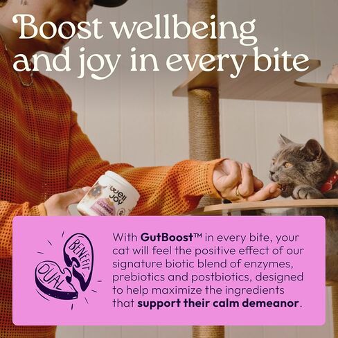 ويل جوي مكمل غذائي للقطط مناعي + GutBoost | الملحق الصحي للقطط | يعزز الاستجابة المناعية | تركيبة GutBoost ثنائية الفائدة | تركيبة بيطرية | صنع في الولايات المتحدة الأمريكية | نكهة الدجاج | 90 مضغة ناعمة in Kuwait