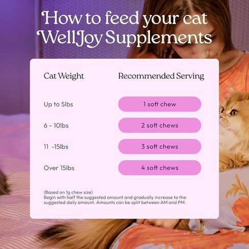 ويل جوي مكمل غذائي للقطط مناعي + GutBoost | الملحق الصحي للقطط | يعزز الاستجابة المناعية | تركيبة GutBoost ثنائية الفائدة | تركيبة بيطرية | صنع في الولايات المتحدة الأمريكية | نكهة الدجاج | 90 مضغة ناعمة in Kuwait