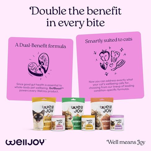 ويل جوي مكمل غذائي للقطط مناعي + GutBoost | الملحق الصحي للقطط | يعزز الاستجابة المناعية | تركيبة GutBoost ثنائية الفائدة | تركيبة بيطرية | صنع في الولايات المتحدة الأمريكية | نكهة الدجاج | 90 مضغة ناعمة in Kuwait
