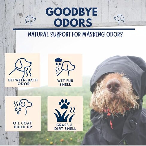 Naturally-Derived Dog Cologne Spray, Long-Lasting Deodorizing Odor Control, Freshens Coat Between Baths, No Parabens or Alcohol, Safe For Sensitive Skin, Made In USA, 16 fl oz in Kuwait