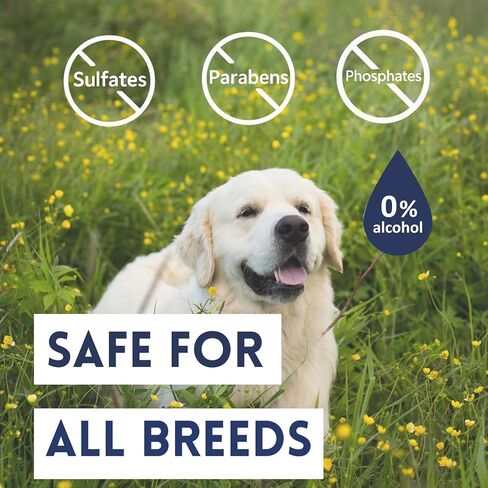 Naturally-Derived Dog Cologne Spray, Long-Lasting Deodorizing Odor Control, Freshens Coat Between Baths, No Parabens or Alcohol, Safe For Sensitive Skin, Made In USA, 16 fl oz in Kuwait