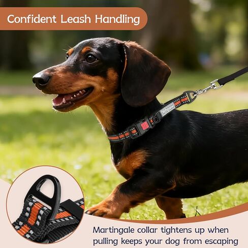 Martingale Collar for Dogs Reflective Collar with Quick Release Buckle, Adjustable Nylon Collars for No Slip Dog Collar, Blue, M in Saudi Arabia