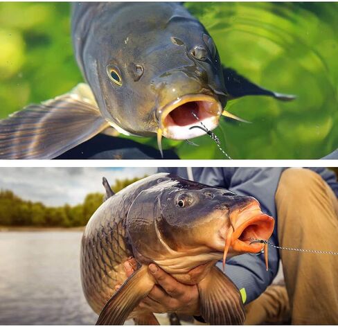 YOTO 24PCS-Carp-Fishing-Hair-Rigs، معدات صيد سمك الشبوط مع خطاف واسع، مجموعة صيد سمك الشبوط مع ملحقات صيد سمك الشبوط in Kuwait