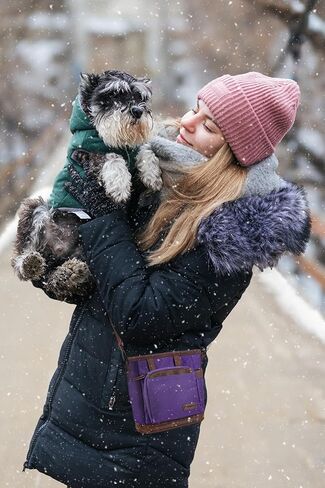 حقيبة علاج الكلاب الكبيرة من BEAU&FUR مع أداة النقر للتدريب - سعة 4 أكواب، موزع أكياس الفضلات مدمج، جيب قابل للتوسيع، مشبك معدني، جيب خلفي كبير، تصميم مثالي للمشي والتدريب - أسود in Kuwait