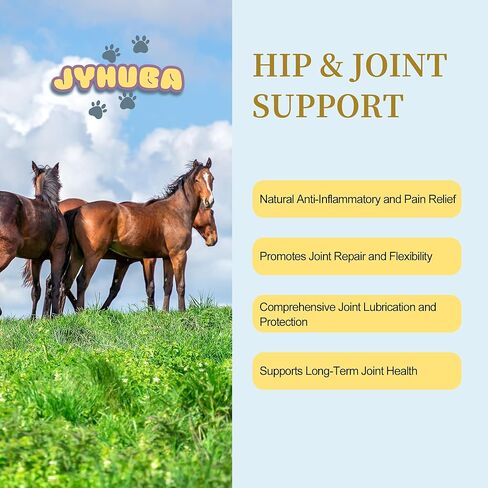 دعم الورك والمفاصل للخيول - تخفيف الألم الطبيعي باستخدام PEA وMSM والجلوكوزامين - مكمل لإصلاح المفاصل والحركة - تركيبة مضادة للالتهابات - صنع في الولايات المتحدة الأمريكية - 16.9 أونصة (480 جم) in Kuwait