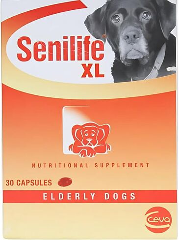 Supplement Capsules for Elderly Dogs in Saudi Arabia