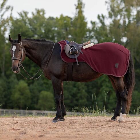 Equinavia Koselig Fleece Quarter Sheet - Black - S in Saudi Arabia
