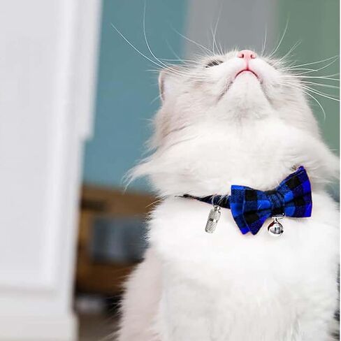 Pet Butterfly Bow Tie Red Black 1 Pcs, and Anti Loss Small Pendant 1 Pcs, Pet If Lost Can Found in Saudi Arabia