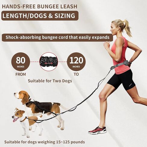 Tails & Tales Hands Free Dog Leash with Waist Pouch, Lumbar Support Upgraded, Bungee Reflective Leash, Adjustable Belt 25-55", Walking Running Hiking Training for Dogs Up to 125lbs (Black, One Dog) in Kuwait