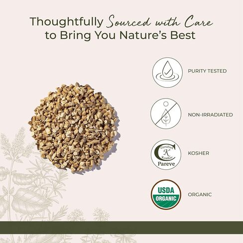 Starwest Botanicals Organic Astragalus Root Cut and Sifted, 1 Pound Bulk in Saudi Arabia