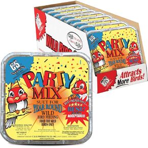 C&S Fruit n’ Nut Suet Treat, Suet Cakes for Wild Birds Including Robins, Blue Jays, Bluebirds, Tanagers, Thrushes and More, 8 Pack in Kuwait