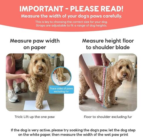 جوارب WALKEE PAWS ثابتة وغير قابلة للانزلاق للكلاب لمنع لعق الكفوف والانزلاق على الأرضيات الصلبة. تمت رؤيته على Shark Tank، لا تفقد أبدًا جورب الكلب مرة أخرى (صغير) مع قبضة شاملة in Saudi Arabia