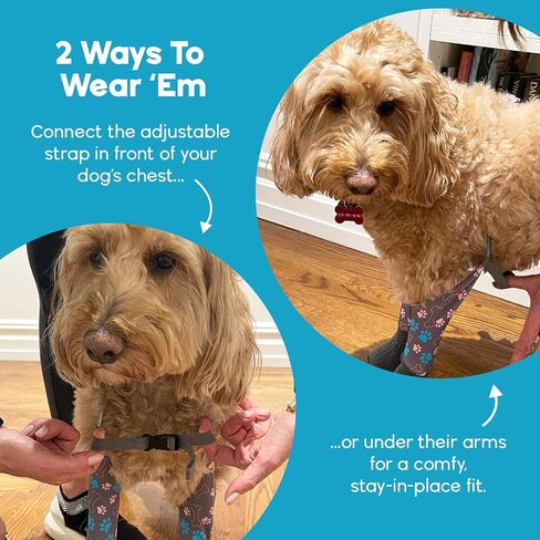 جوارب WALKEE PAWS ثابتة وغير قابلة للانزلاق للكلاب لمنع لعق الكفوف والانزلاق على الأرضيات الصلبة. تمت رؤيته على Shark Tank، لا تفقد أبدًا جورب الكلب مرة أخرى (صغير) مع قبضة شاملة in Saudi Arabia