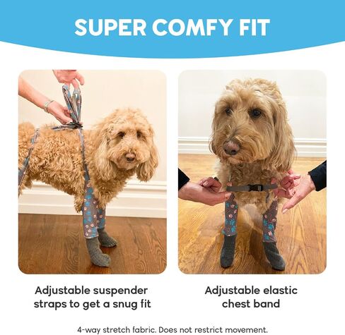 جوارب WALKEE PAWS ثابتة وغير قابلة للانزلاق للكلاب لمنع لعق الكفوف والانزلاق على الأرضيات الصلبة. تمت رؤيته على Shark Tank، لا تفقد أبدًا جورب الكلب مرة أخرى (صغير) مع قبضة شاملة in Saudi Arabia