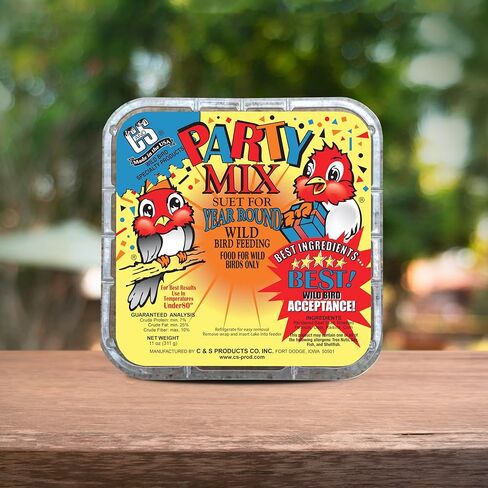 C&S Fruit n’ Nut Suet Treat, Suet Cakes for Wild Birds Including Robins, Blue Jays, Bluebirds, Tanagers, Thrushes and More, 8 Pack in Kuwait