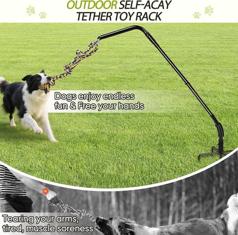 Tether Outdoor Dog Rope Toy with Strengthen Spring Pole, 3 Kinds Dog Tug of War Toys for Self Play and Interactive in Park, Yard, Lawn Rope, Suitable for Large Medium Small Dogs (Black) in Saudi Arabia