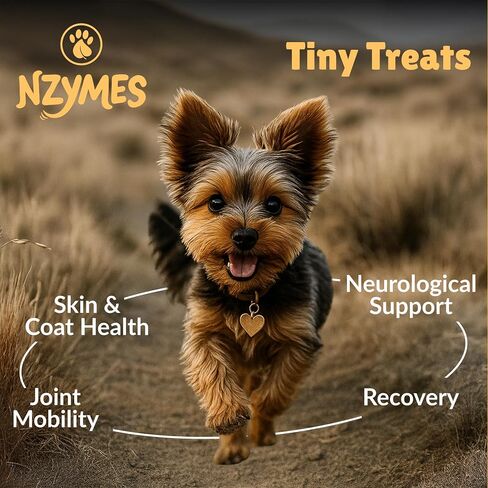 مكافآت Nzymes® الصغيرة المضادة للأكسدة - لمفاصل الكلاب، والوركين، والشلل، والجلد، والمعطف، وتساقط الشعر، والشيخوخة، والهضم، والنوبات - مكافآت الكلاب للكلاب الصغيرة - 270 مكافأة - صنع في الولايات المتحدة الأمريكية in Saudi Arabia