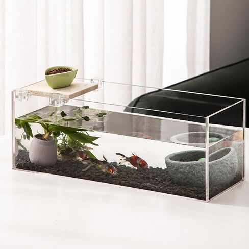 10Pcs Aquarium Cover Bracket - Small Mini Transparent High-Strength Acrylic Supports Bracket, Securely Fixes Inflow & Outflow Pipes, Sturdy Glass Wall Mounted Holder for Fish Bowl Accessories in Saudi Arabia