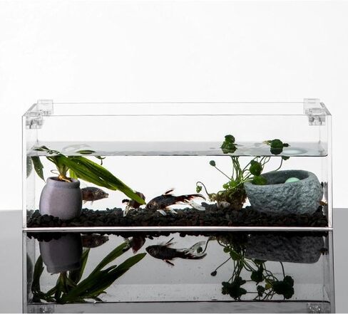 10Pcs Aquarium Cover Bracket - Small Mini Transparent High-Strength Acrylic Supports Bracket, Securely Fixes Inflow & Outflow Pipes, Sturdy Glass Wall Mounted Holder for Fish Bowl Accessories in Saudi Arabia