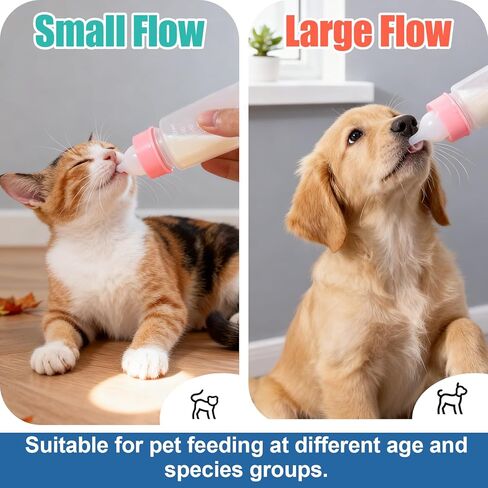 DEMORA Kitten Bottle Feeding Kit, Graduated Nursing Feeding Bottles for Pet Kitten Puppy Hamster Rabbit with Two Kinds of Replaceable Nipples Feeder (Clear, 2 oz) in Saudi Arabia