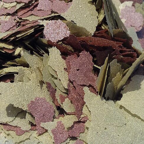 Aquatic Foods Inc. Flakes - 45% California Blackworm & Cichlid Green GRO Flake Mix for Discus, Cichlids, Tetras, Guppies, Live Bearers, All Community Tropical Fish - Premium AF Flakes - 1/2-lbs in Saudi Arabia
