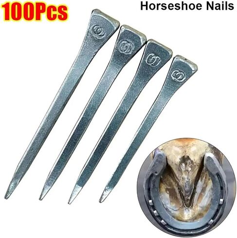 100 Pieces Assorted E2 to E8 Steel Horseshoe Nails – Reliable for Horse Hoof Care, Harness Repair & Riding Gear Needs(100Pcs E8 60.5mm) in Saudi Arabia