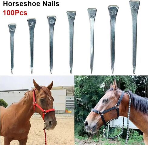 100 Pieces Assorted E2 to E8 Steel Horseshoe Nails – Reliable for Horse Hoof Care, Harness Repair & Riding Gear Needs(100Pcs E8 60.5mm) in Saudi Arabia