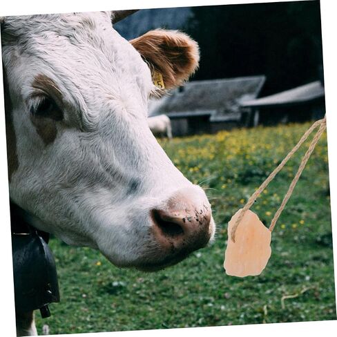 BESPORTBLE 6pcs Pink Salt Lick Block for Livestock Natural Mineral Source Cattle Deer Rabbits Health Enhancement Immune Support Easy Placement for Effortless Licking in Saudi Arabia