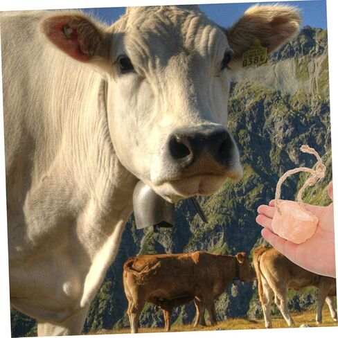 BESPORTBLE 6pcs Pink Salt Lick Block for Livestock Natural Mineral Source Cattle Deer Rabbits Health Enhancement Immune Support Easy Placement for Effortless Licking in Saudi Arabia